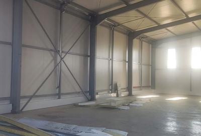 Spațiu comercial, de 538 mp, în Frumușani - 12