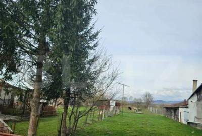 Casă cu 3 camere cu Teren 2766 Mp în Reghin - 2