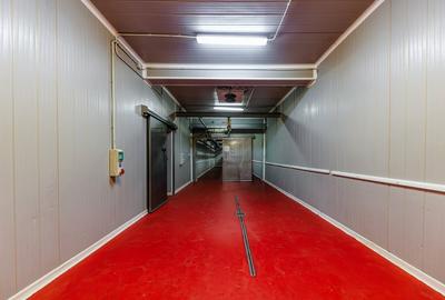 Spațiu industrial, de 1,285 mp, în Dumbrăvița - 9