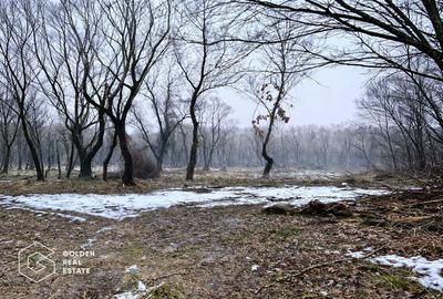 Teren agricol extravilan de 3900 mp, în Central - 3