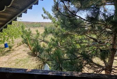 Casă cu 6 camere cu Teren 3000 Mp în Ruginești - 4