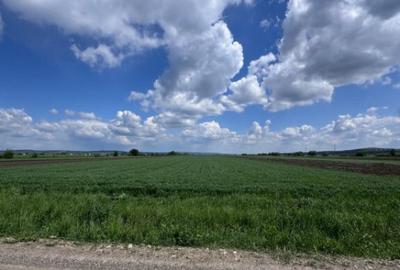 Teren extravilan, 1 hectar, Volovat - 1