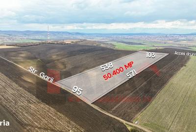 Teren de 50400 mp, în Șura Mică - 2