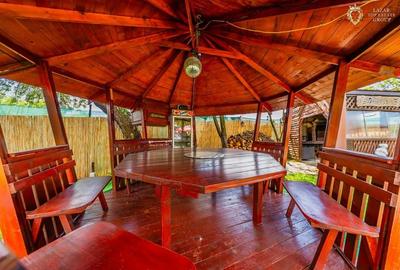 Casa cu piscina de vanzare In Paulis - 7