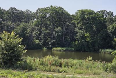 Teren în Balotești - 5