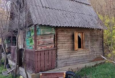 Teren de 6400 mp, în Dijir - 8