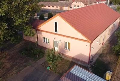 Casa de vânzare în com.Peciu Nou - 2
