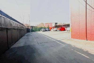 Nicolae Grigorescu, hala industriala si birouri - 2