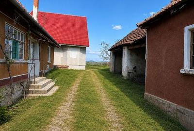 Casă cu 5 camere cu Teren 1396 Mp în Tileagd - 2