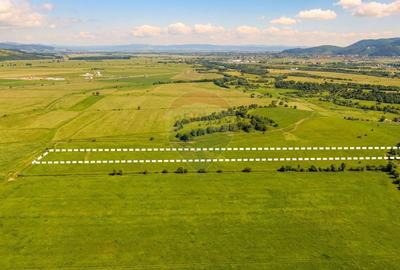 Teren agricol extravilan de 8329 mp, în Glăjărie - 4