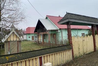 Casa si hala de vanzare, in Horodnic de Sus - 1