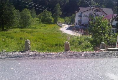 Teren zona Cheile Rasnoavei, Judet Brasov - 2