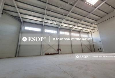 Hala de vanzare,  zona Mogosoaia, 1500mp, ID 15424, - 3