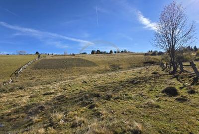 Teren extravilan, 4130mp, cu parau, la 500m de Primaria Marisel - 11