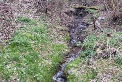 Oportunitate Teren extravilan 4000mp , Zona Baisoara - 2