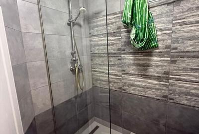 Apartament cu 4 camere, mobilat în Herăstrău - 2
