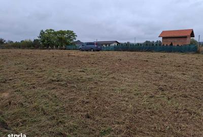 Teren de 2300 mp, în Săcălășeni - 4