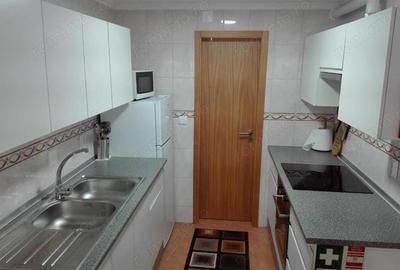 Garsonieră în Kiseleff - 2