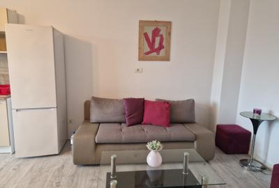 Apartament cu 2 camere semidecomandat, mobilat în Torontalului - 6