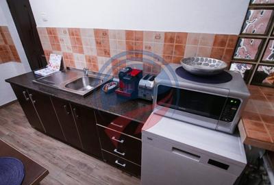 Garsoniera/de inchiriat/Craiova/ Ultracentral - 4