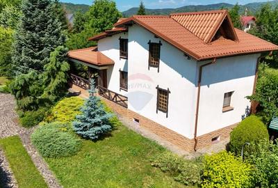 Vanzare Casa de vacanta Brebu, Prahova, Campina cu gradina si livada - 21