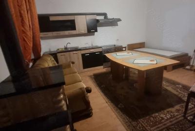 Garsonieră nedecomandată în Șagului