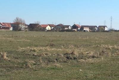 Teren de 10000 mp, în Giroc - 2