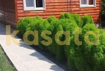 Casa individuala de lemn I Calarasi I Dor Marunt I teren 814 mp - 4