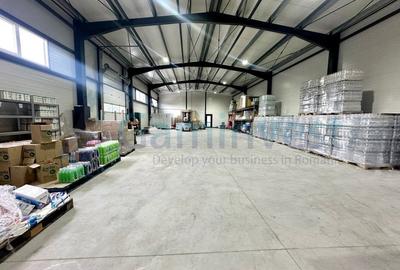 Spațiu industrial, în Borș - 3