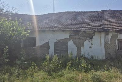 Vand magazie si garaj - 1