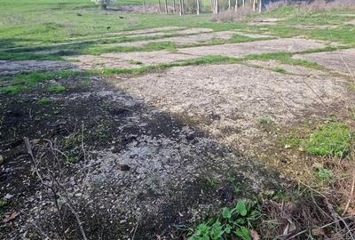 Teren de 15000 mp, în Cămărașu - 3