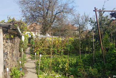 Casă cu 3 camere cu Teren 720 Mp în Simeria - 5