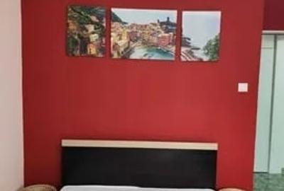 Apartament cu 2 camere, DECOMANDAT, zona Nicolina - 3