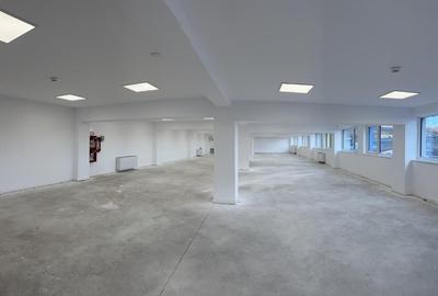 Cladire de vanzare – spatii diverse, 130 - 6000 mp / Zona in plina dezvoltare - 12