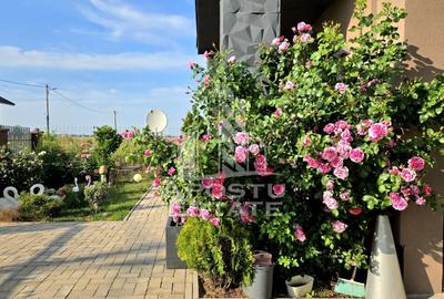 Casa individuala cu teren de 700 mp, Sag - 35