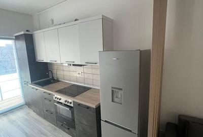 Apartament cu 2 camere decomandat, mobilat în Parcul Carol - 8