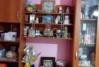 Casă cu 5 camere cu Teren 750 Mp în Vatra Dornei - 1