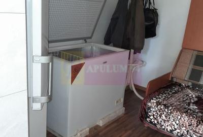 Movilita - vanzare casa 5 cam plus livada pe rod si teren 1800 mp - 28