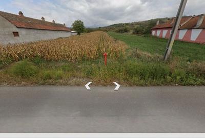 Teren de 4500 mp, în Iablanița - 3
