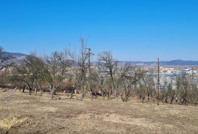 Teren Construcții intravilan de 1400 mp, în 700 - 3