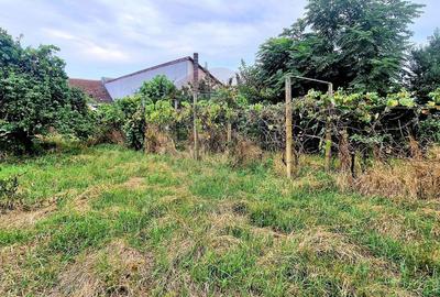 Casă cu 3 camere în Nădab - 3