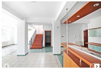 Vila Herastrau Office - 2