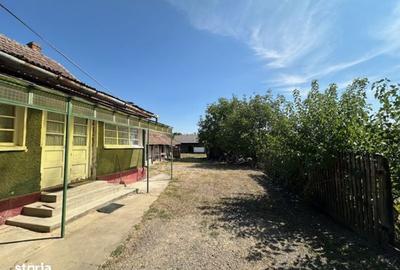 Casă cu 3 camere cu Teren 6060 Mp în Gepiu - 4