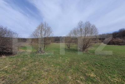 Teren de vanzare extravilan, 1ha, drumul Sigmirului - 4