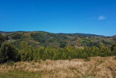 Comision 0% teren intravilan 1000 mp, PUZ, priveliste, Baisoara - 2