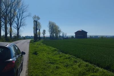 Vand teren intravilan 4000MP cu  dechidere la Delta Neajlovului, Comana GR - 7