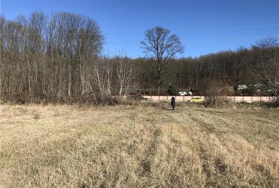 Teren de 7500 mp, în Dragomirești - 8