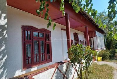 Casă cu 3 camere cu Teren 4658 Mp în Ghimpați - 16