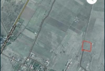 Teren de 570 mp, în Mărăcineanu - 1
