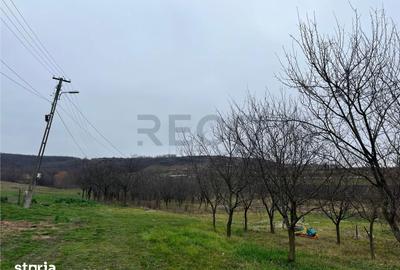 Teren de 500 mp, în Hidiș - 2